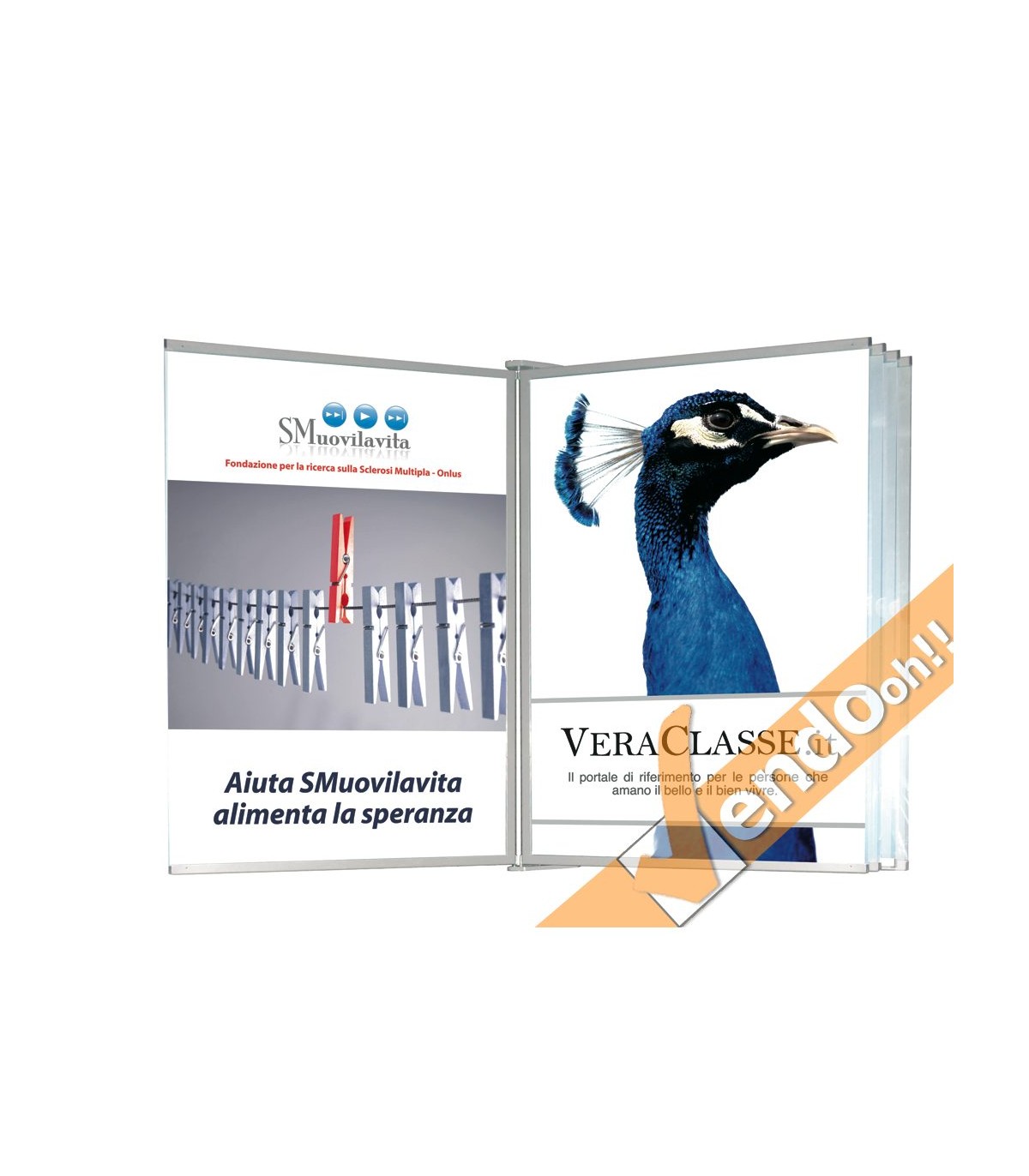 Espositore albo da parete 70x100