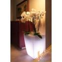 VASO LUMINOSO LED 12V IMPERMEABILE IP67 MADE IN ITALY JASR LUCE CAMBIA COLORE