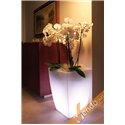VASO LUMINOSO LED 12V IMPERMEABILE IP67 MADE IN ITALY JASR LUCE CAMBIA COLORE